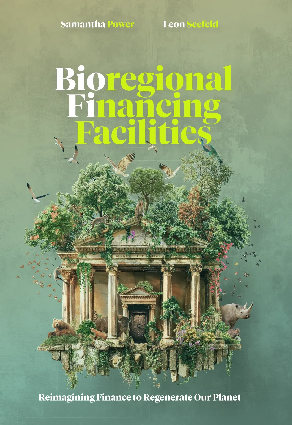 Bioregional Financing Facilities book cover